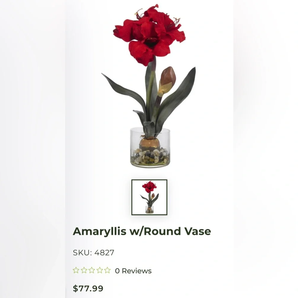 Nearly Natural Amaryllis w/Round Vase
